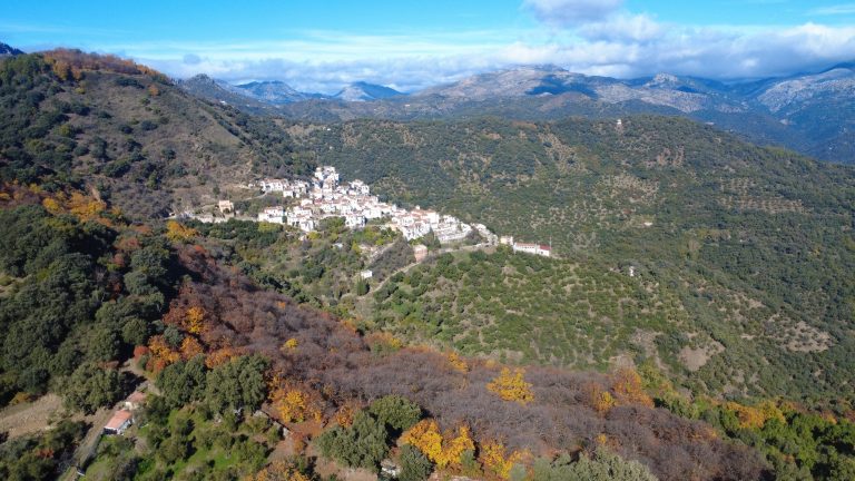 Benalauría organiza un Encuentro de Familias y Asociaciones sobre la Discapacidad en el Medio Rural