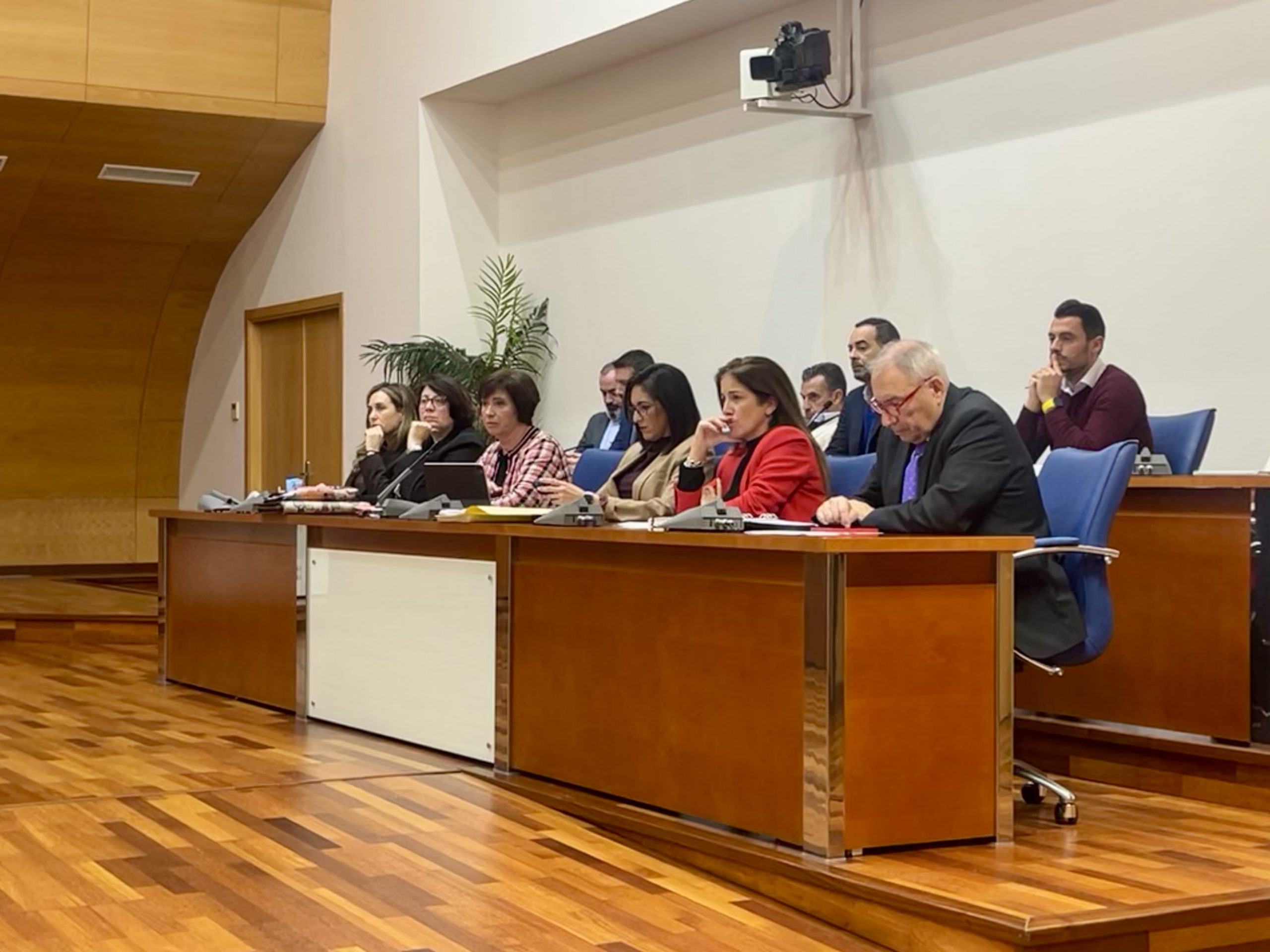 El Ayuntamiento de Fuengirola incluye iniciativas del PSOE en su Plan Normativo 2026 para ordenar ayudas y fomentar la convivencia