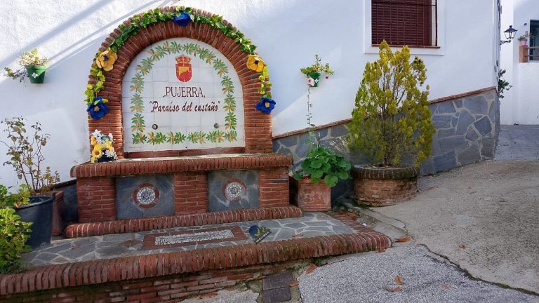 Malaka Trekking recorre el Bosque de Cobre entre Cantarriján y Pujerra