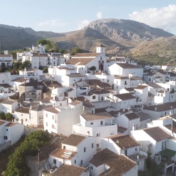 Cartajima contratará a seis jóvenes a través de un programa de empleo de la Junta de Andalucía