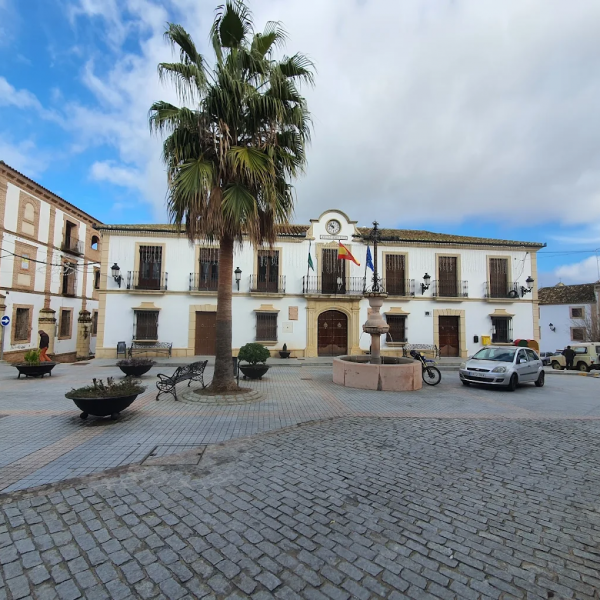 Cañete la real inicia las contrataciones del programa activa-t joven