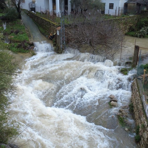 Las borrascas dejan 323 litros en Alpandeire, la cifra más alta de la provincia de Málaga