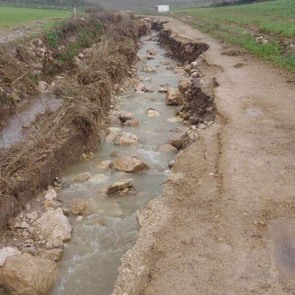 Cañete la Real hace balance de los daños causados por las lluvias