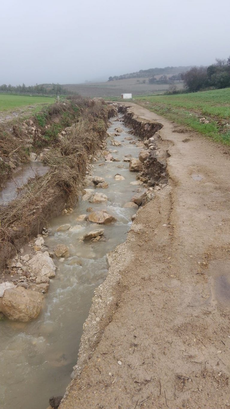 Cañete la Real hace balance de los daños causados por las lluvias