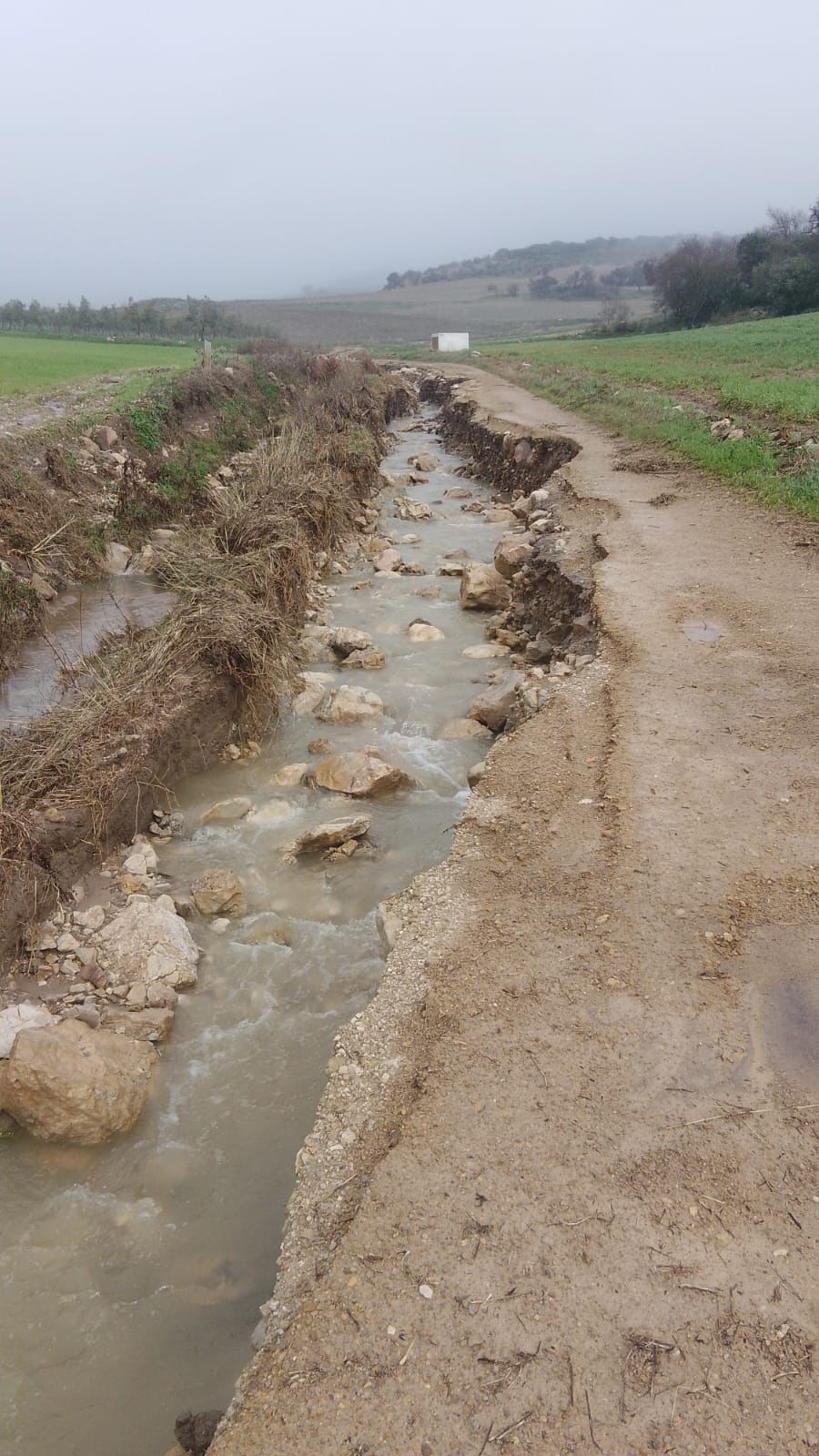 Cañete la Real hace balance de los daños causados por las lluvias