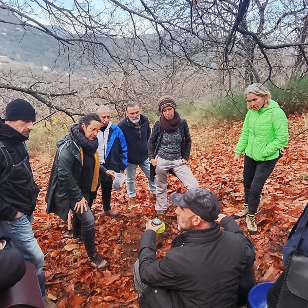 Algatocín celebrará la I Feria Micológica ‘MycoLab Genal’ para impulsar el empleo verde