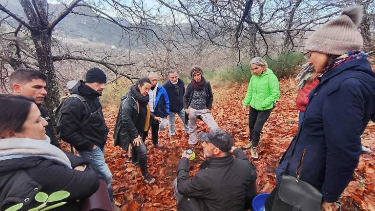 Algatocín celebrará la I Feria Micológica ‘MycoLab Genal’ para impulsar el empleo verde