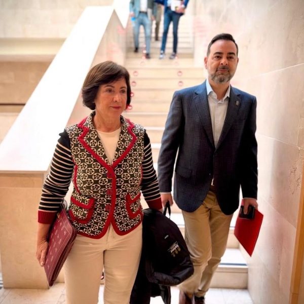 El PSOE de Málaga respalda la decisión de Carmen Segura de dejar la política por motivos de salud