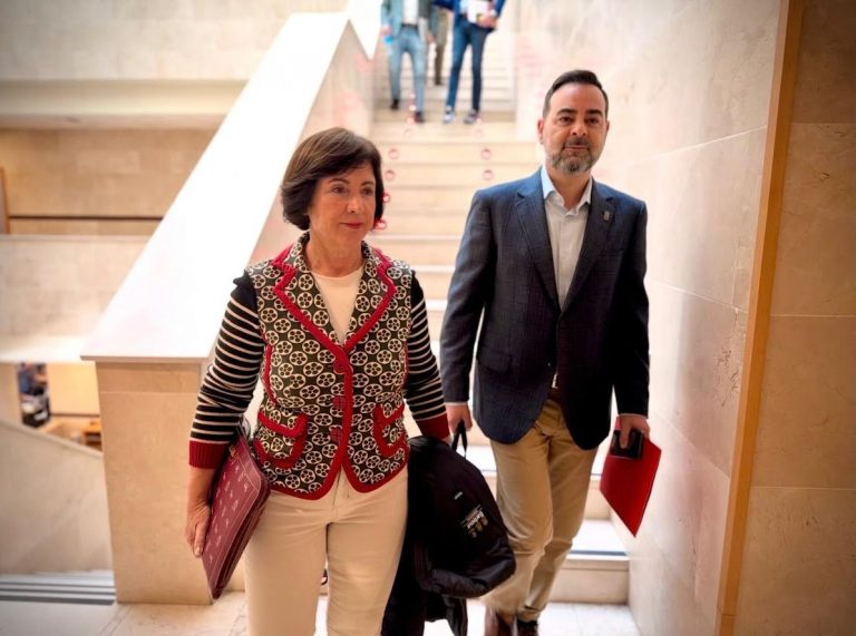 El PSOE de Málaga respalda la decisión de Carmen Segura de dejar la política por motivos de salud