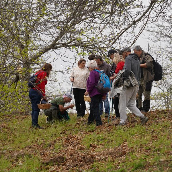 Cartajima reúne a medio centenar de aficionados en las VI Jornadas Micológicas de Primavera