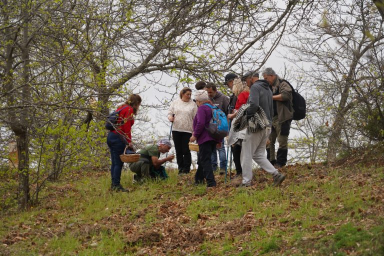 Cartajima reúne a medio centenar de aficionados en las VI Jornadas Micológicas de Primavera