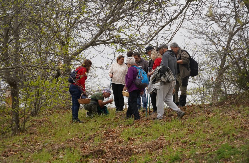 Cartajima reúne a medio centenar de aficionados en las VI Jornadas Micológicas de Primavera