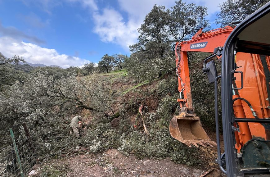 Alpandeire actuará en dos caminos rurales tras los graves daños provocados por las lluvias
