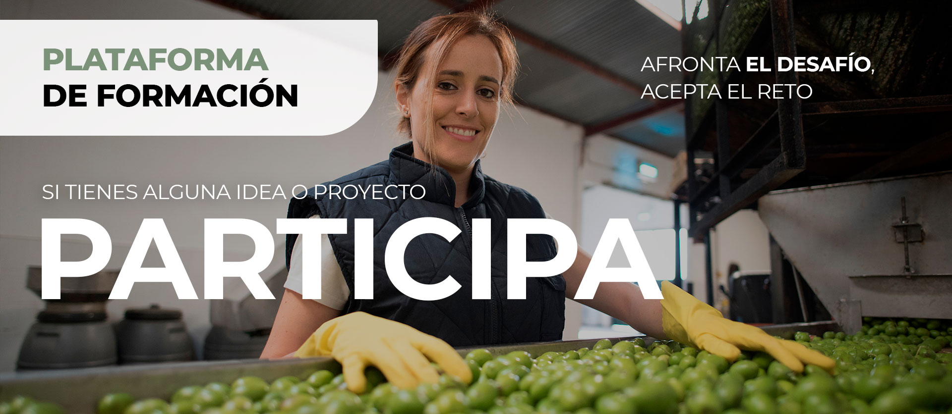 El programa Desafío Mujer Rural impulsa el emprendimiento femenino en el medio rural