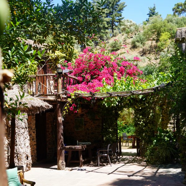 Camping San Juan, un alojamiento singular en pleno corazón del Valle del Genal