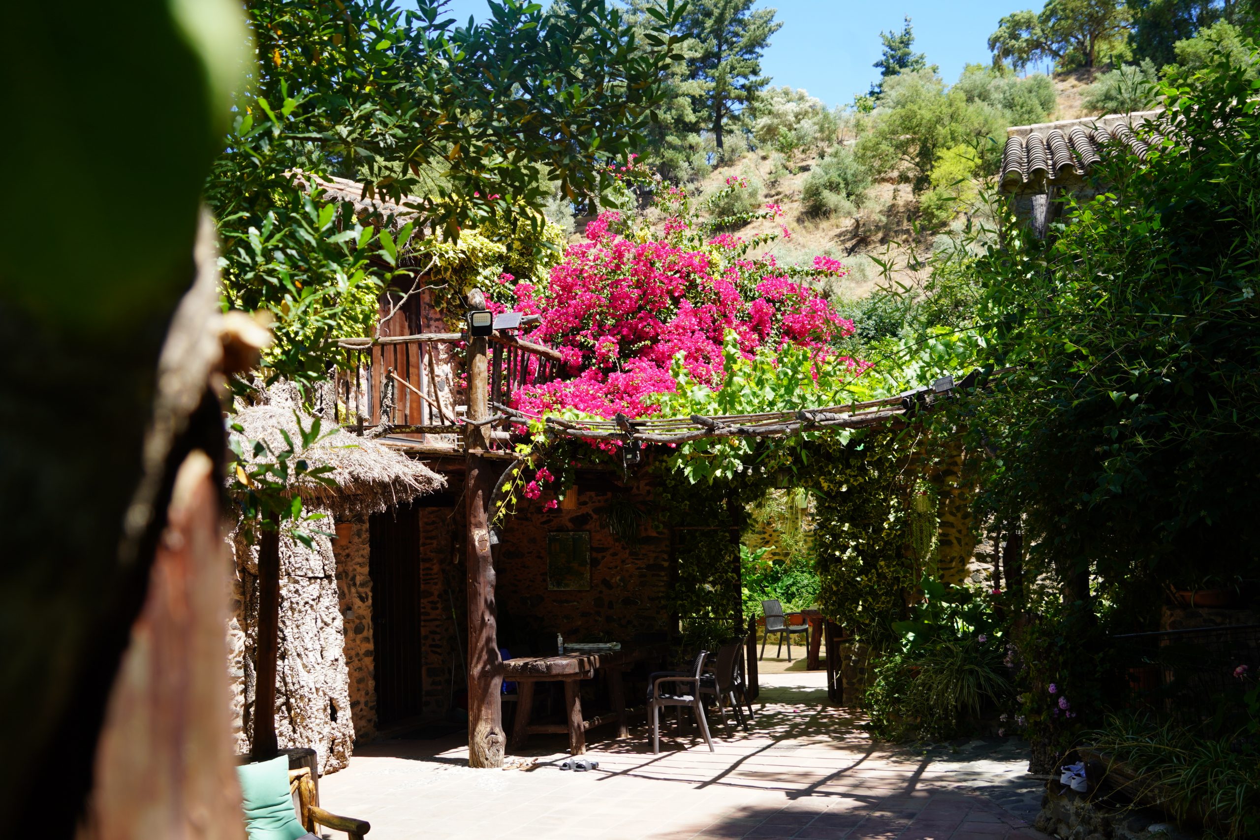 Camping San Juan, un alojamiento singular en pleno corazón del Valle del Genal