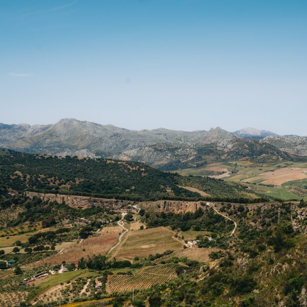 Ecologistas denuncia la suspensión de la Junta Rectora de la Sierra de Grazalema y exige información sobre los planes antiincendios